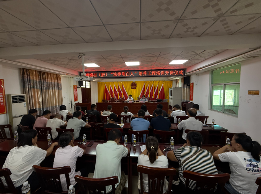 巴中市海口专业法务咨询(海南法之道法务咨询有限公司)