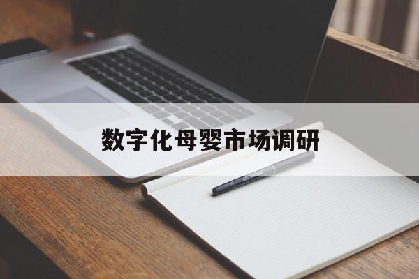 巴中市数字化母婴市场调研(数字化母婴市场调研报告)
